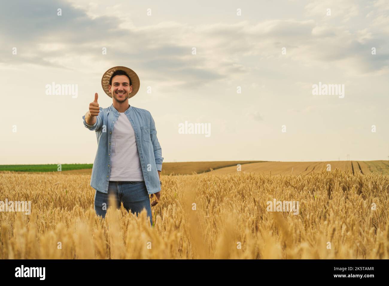Happy farmer showing thumb up while standing in his growing wheat field ...