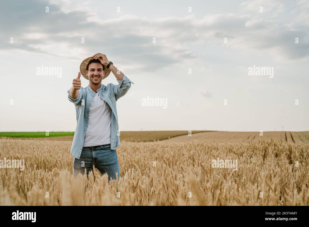 Happy farmer showing thumb up while standing in his growing wheat field ...