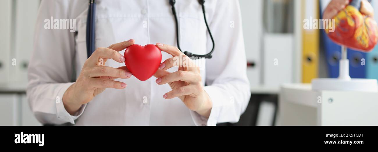 Woman doctor holding a plastic model of the heart Stock Photo - Alamy