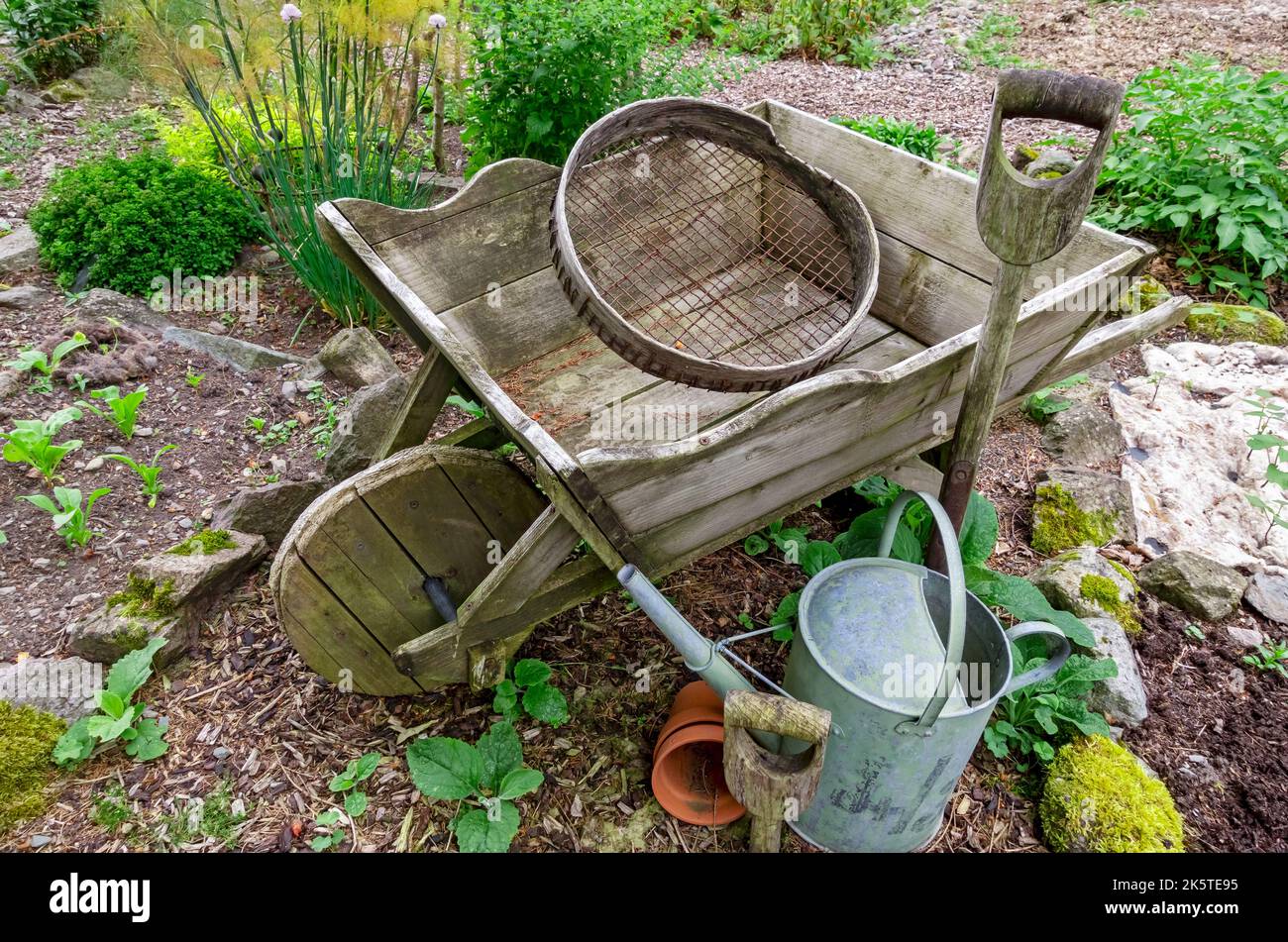 Old wooden wheelbarrow spade sieve watering can and gardening tools on a vegetable garden allotment England UK United Kingdom GB Great Britain Stock Photo