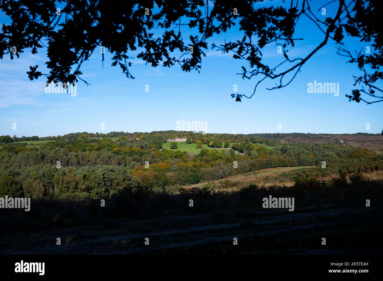 Views of Ashdown Forest , East Sussex , England UK Ashdown Forest is an