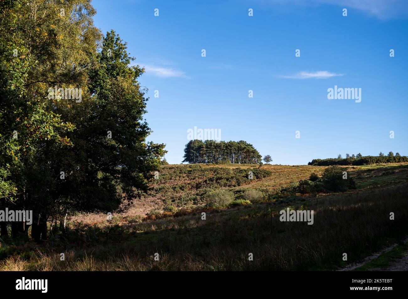 Views of Ashdown Forest , East Sussex , England UK Ashdown Forest is an ...