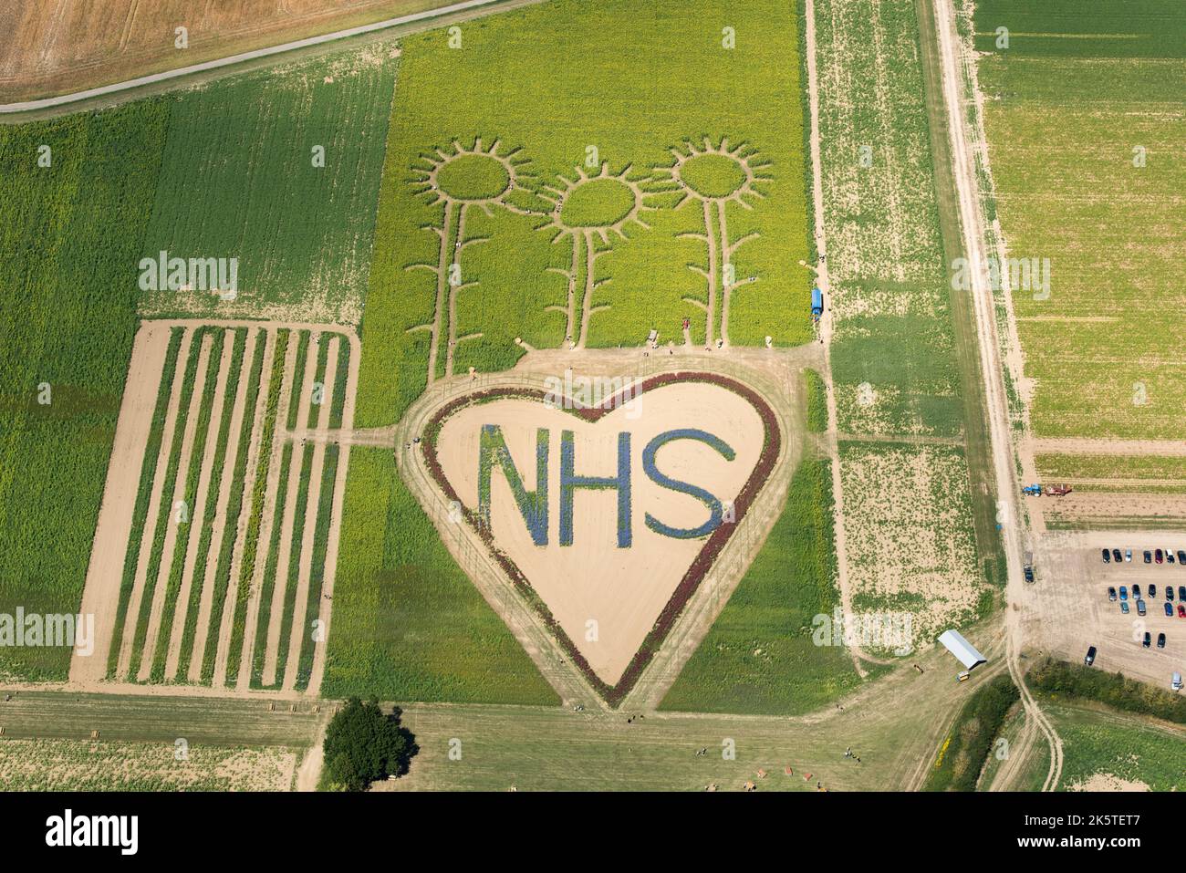 A field with flowers planted in the shape of a heart in support of the