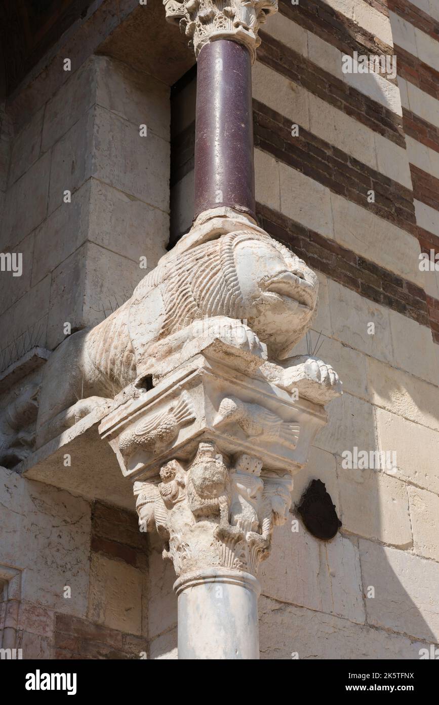 Cathedral Verona, view of a 12th century carved lion surmounting a marble pillar at the south door of the Duomo in the historic center of Verona, Stock Photo