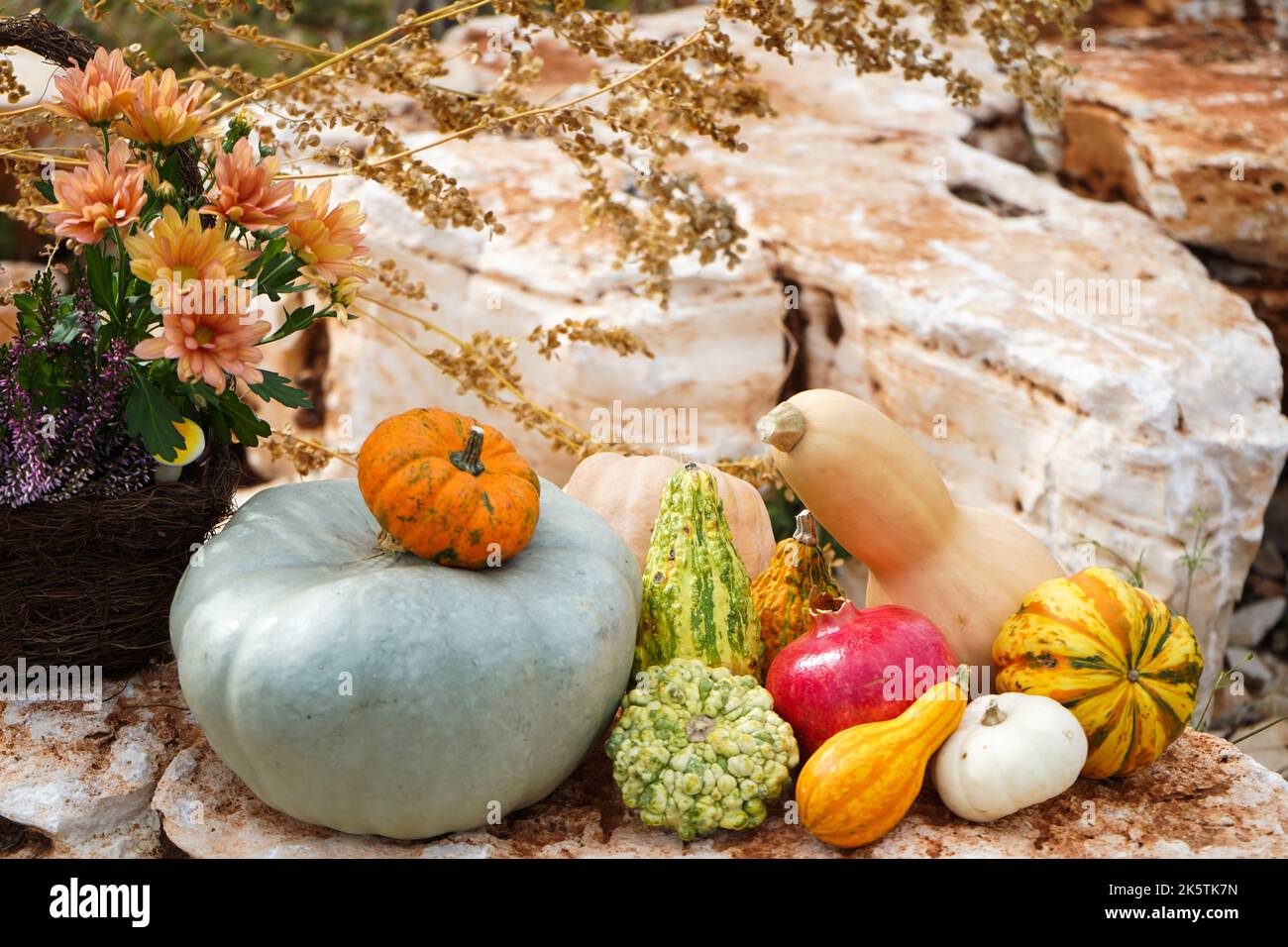 Still life vegetables hi-res stock photography and images - Alamy