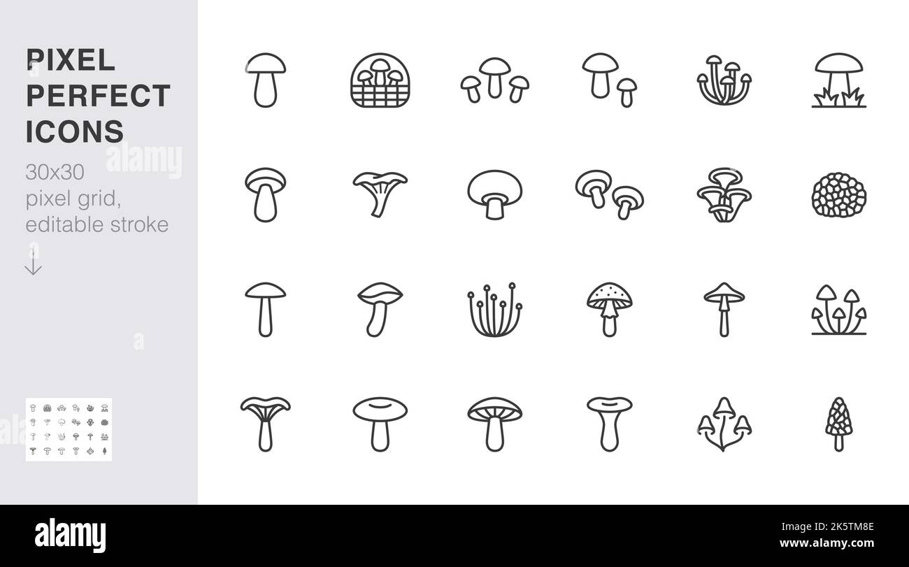 Basket mushroom fungus morel Stock Vector Images - Alamy