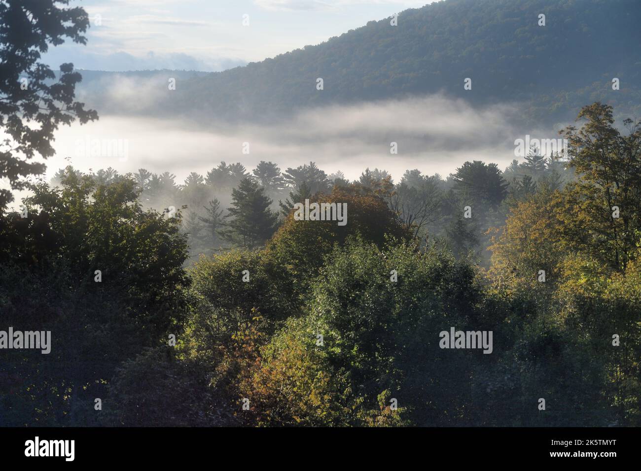 Chester, Vermont, USA. Fog and mist cling to the mountain valleys in the Green Mountains of Vermont in early morning. Stock Photo