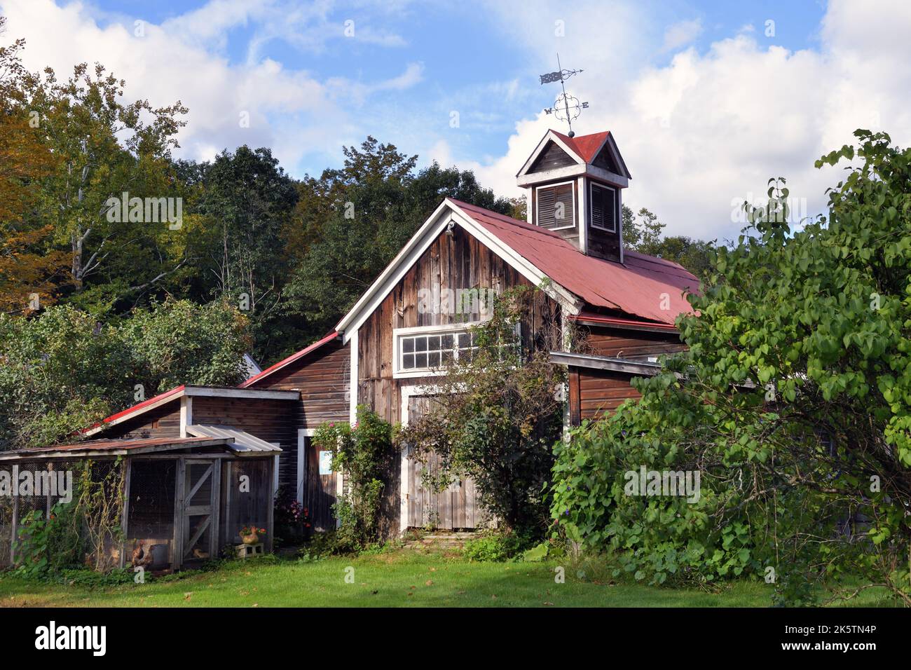 Lower Bartonsville, Vermont, USA. A rustic shed/storage barn complete with a crooked weather vane atop a roof cupola. Stock Photo