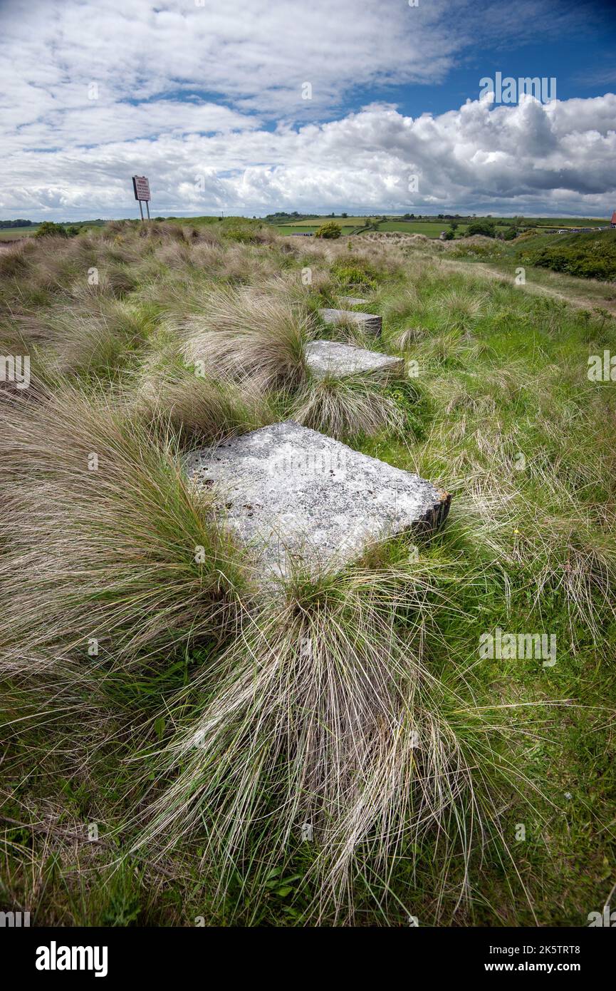 coastal grass and concrete blocks alnmouth northumberland england Stock