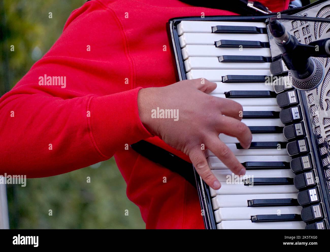 Young musician plays accordion. Closeup hands and buttons of accordion