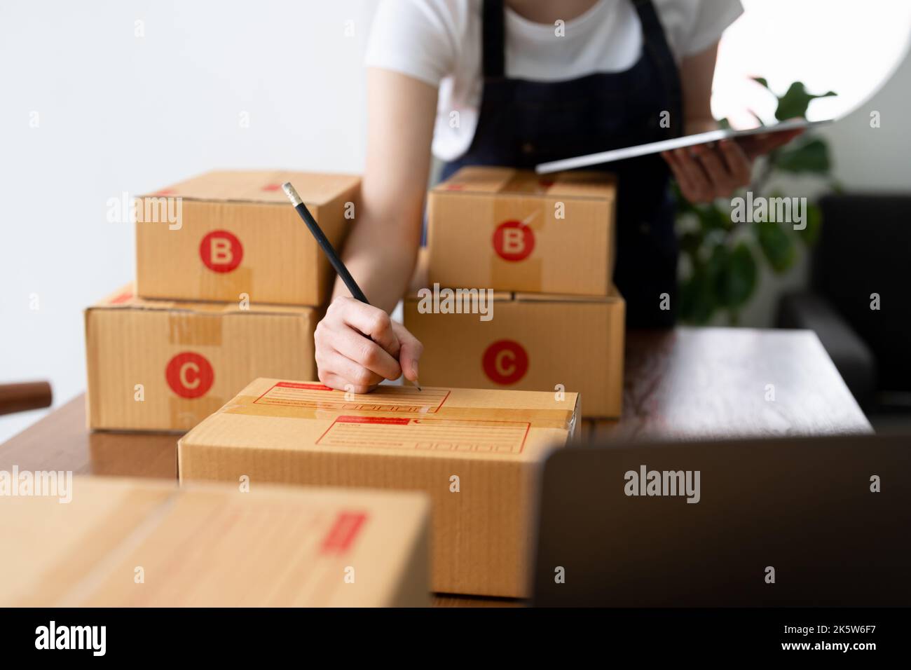 Startup small business about sme. The girl accepts the order online. By internet and telephone. SME is an independent business concept Stock Photo