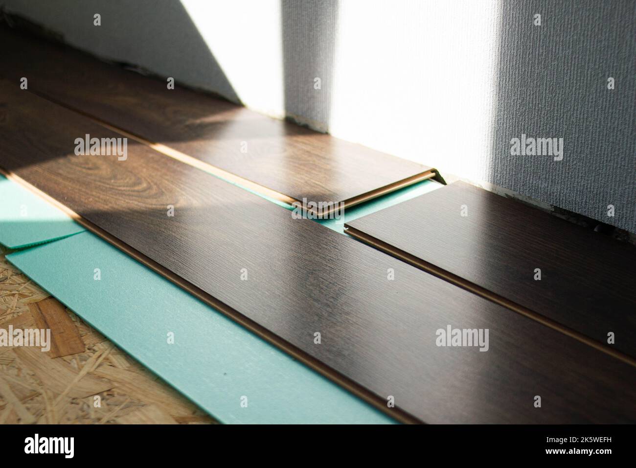 Laminate. Laying brown glossy laminate on the floor of the house