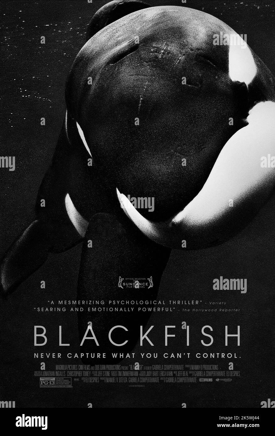 Blackfish 2013 Movie Poster Killer whale Stock Photo