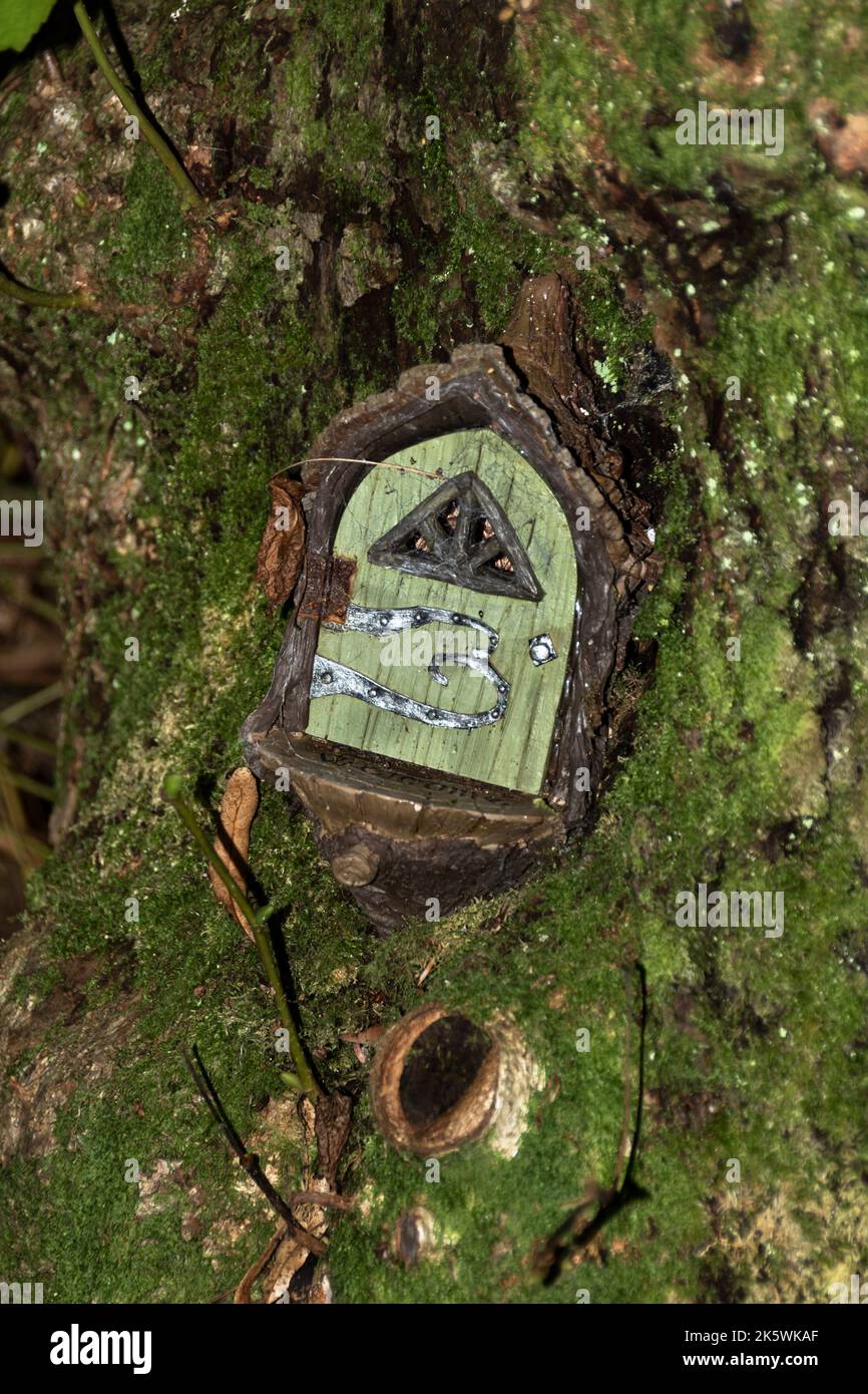 Fairy Houses in a dark woods Stock Photo Alamy