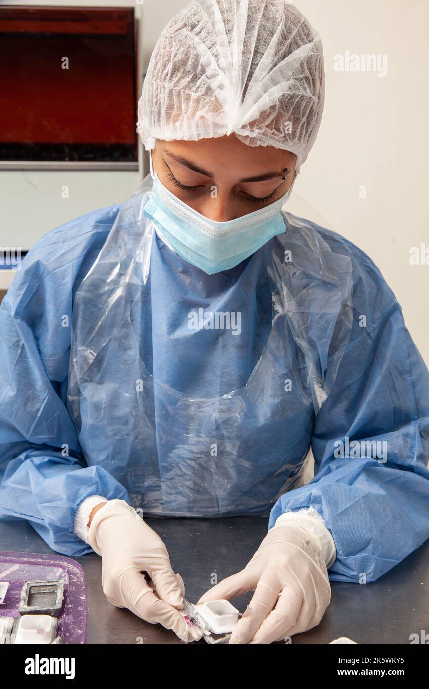 Scientist preparing paraffin blocks containing biopsy tissue for