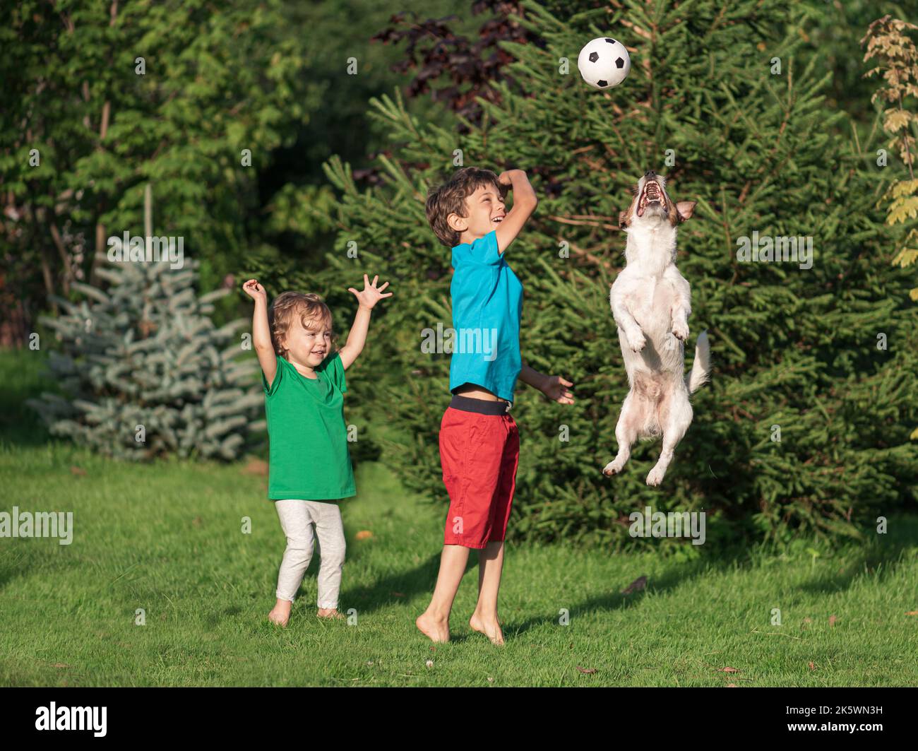 Happy and excited children playing football with family pet dog outside at backyard turf on sunny summer day Stock Photo