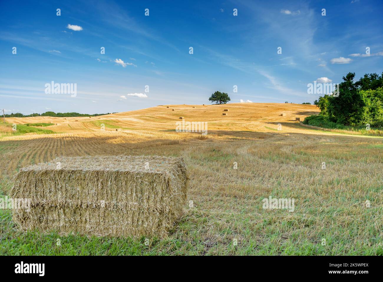 Victor new yok hires stock photography and images Alamy