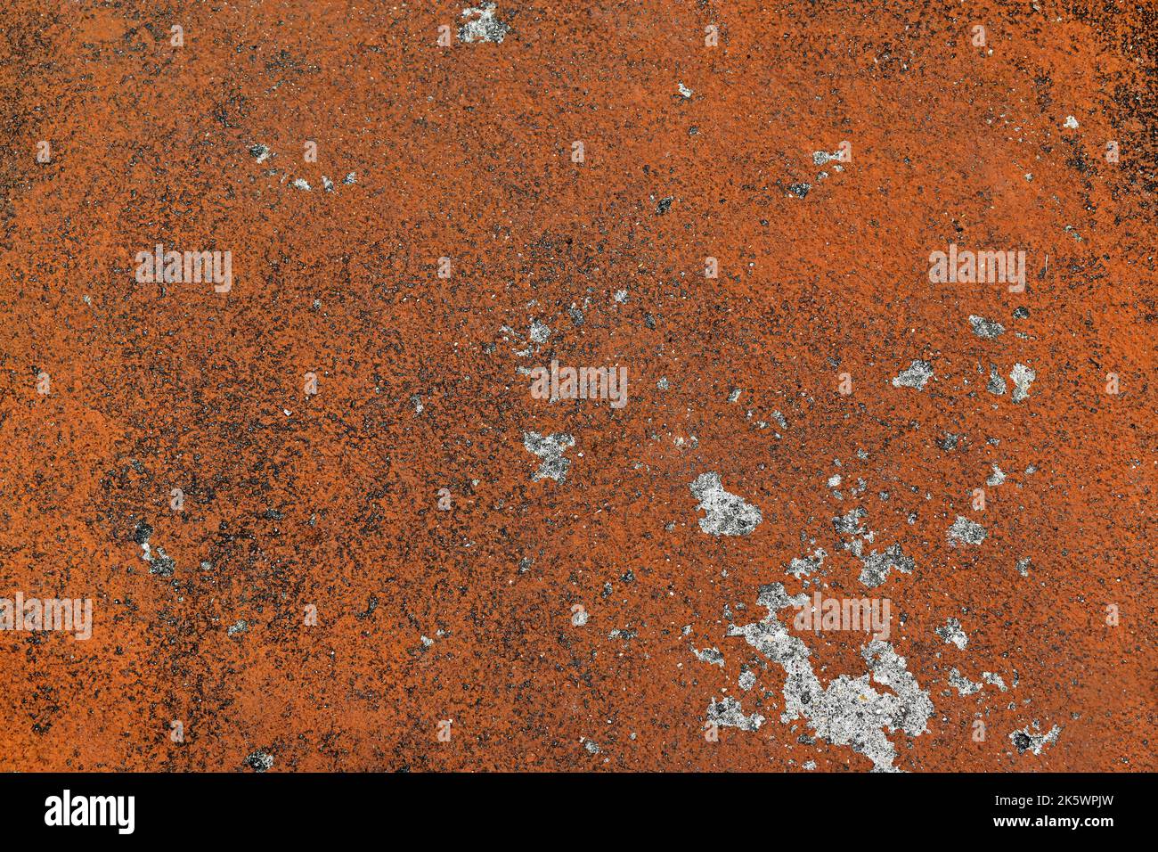 Painted concrete floor surface texture Stock Photo - Alamy