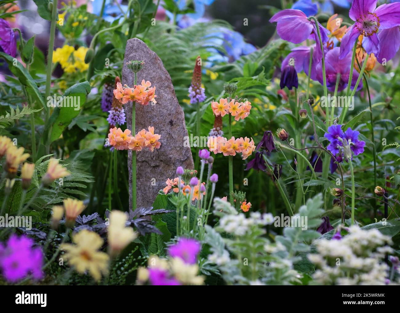 Chelsea Flower Show 2022 Stock Photo Alamy