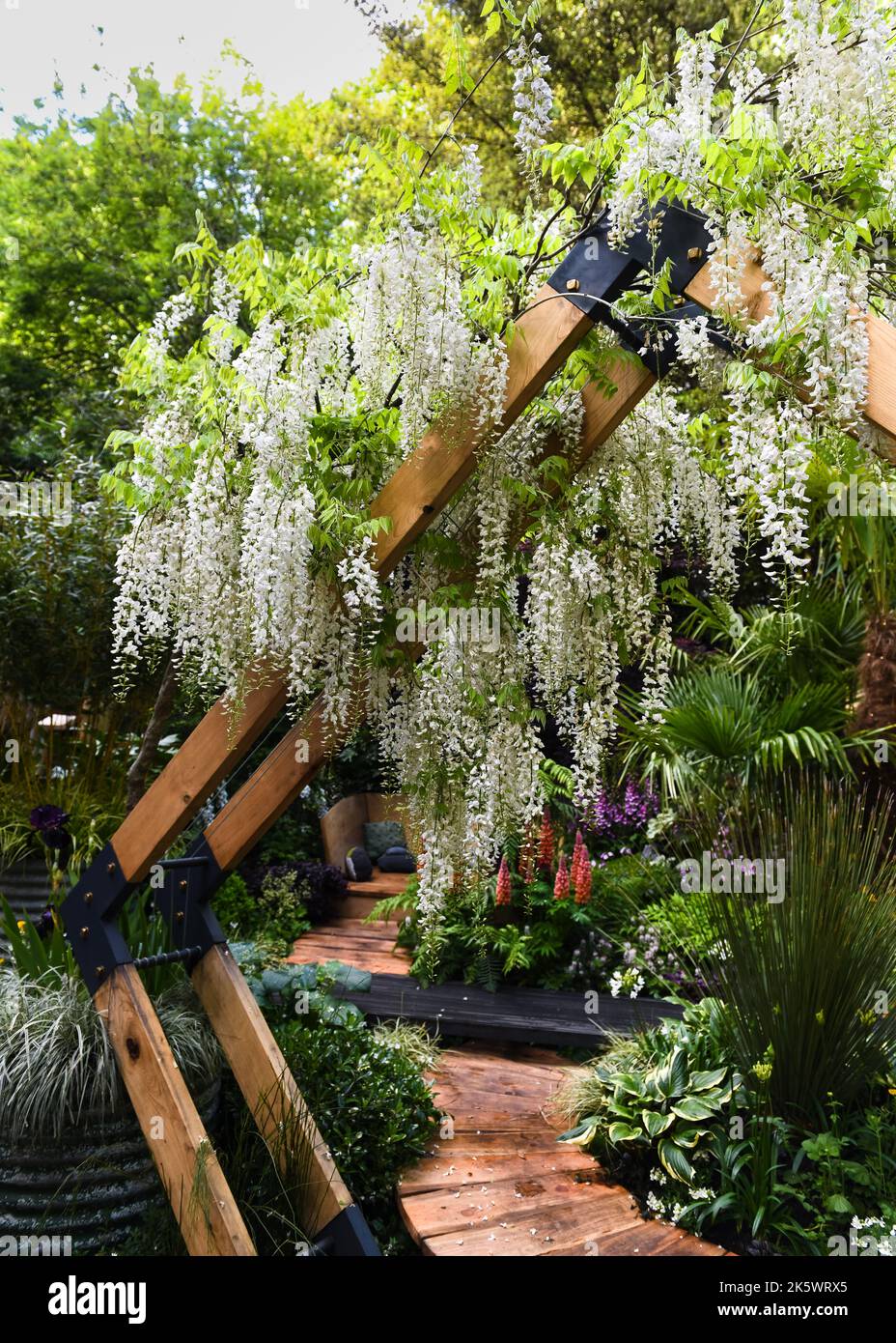 Chelsea Flower Show 2022 Stock Photo Alamy