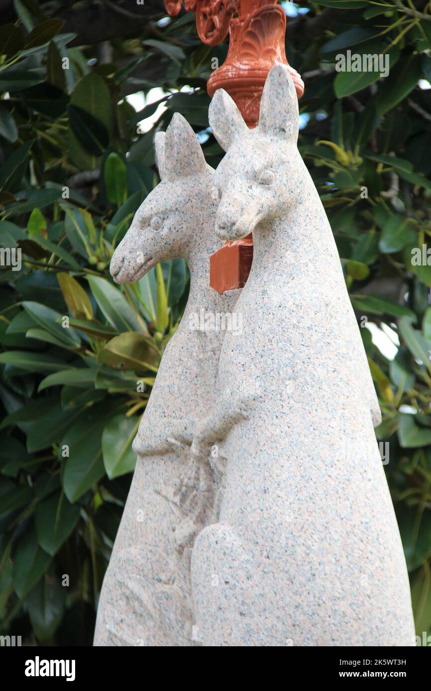statue of kangaroos in melbourne in australia Stock Photo Alamy