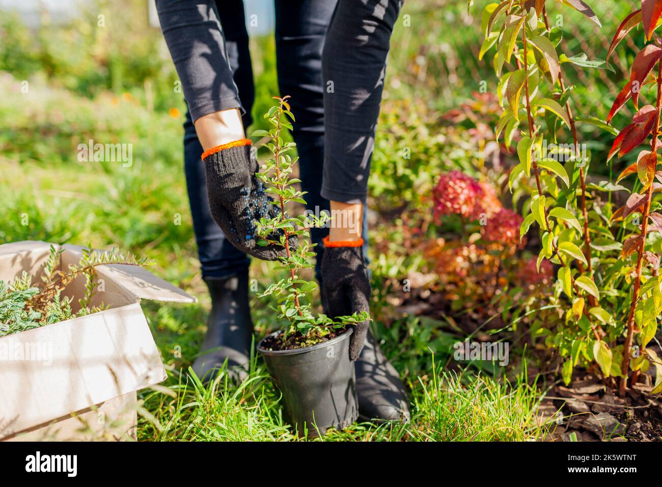 Shipping container after hires stock photography and images Alamy