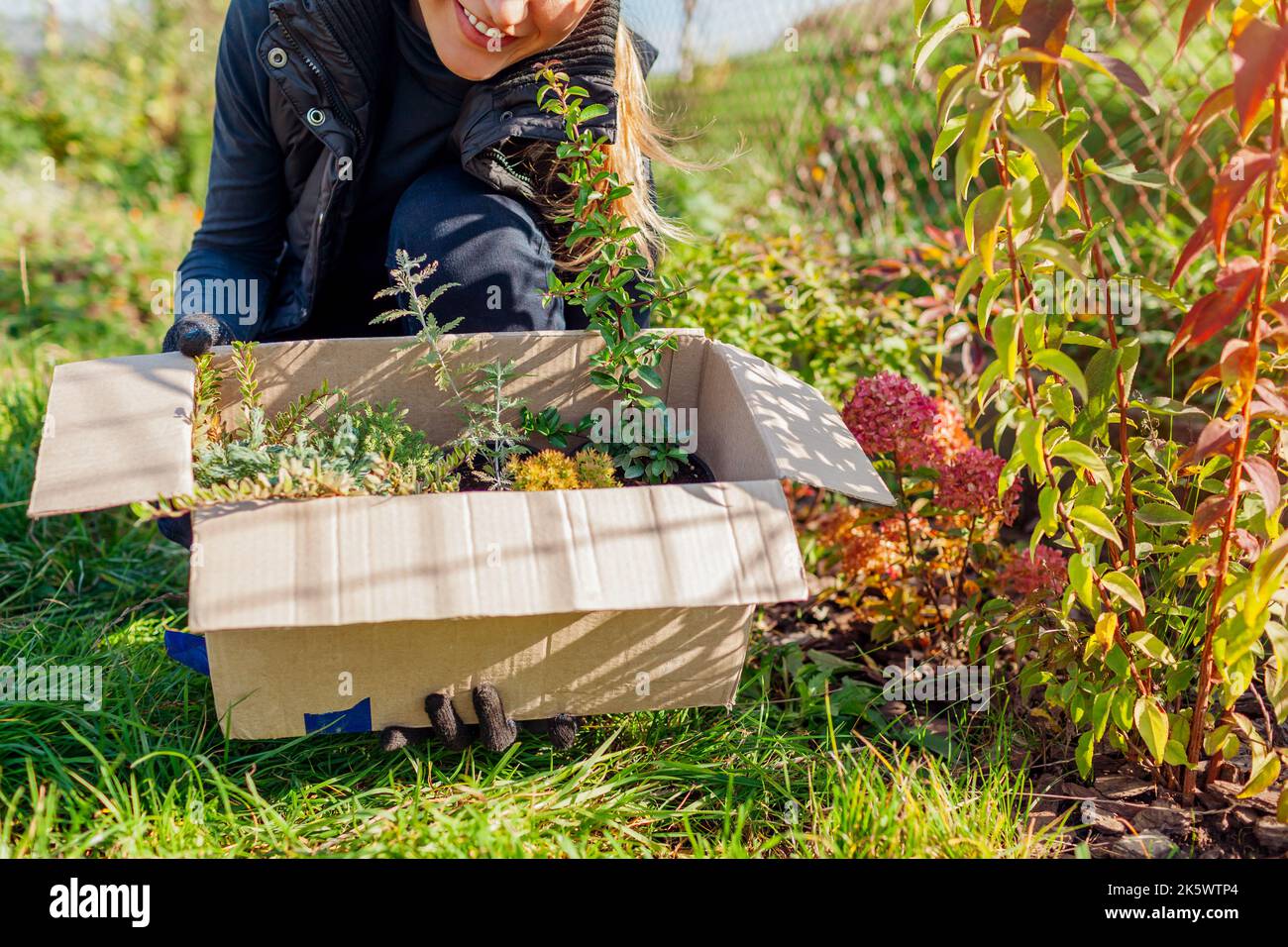 Young woman holding cardboard box with plants delivered from nursery