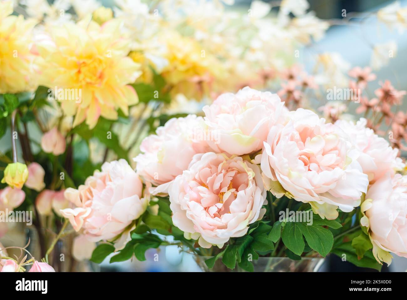Pastel pink artificial roses attracting visitors in building Stock