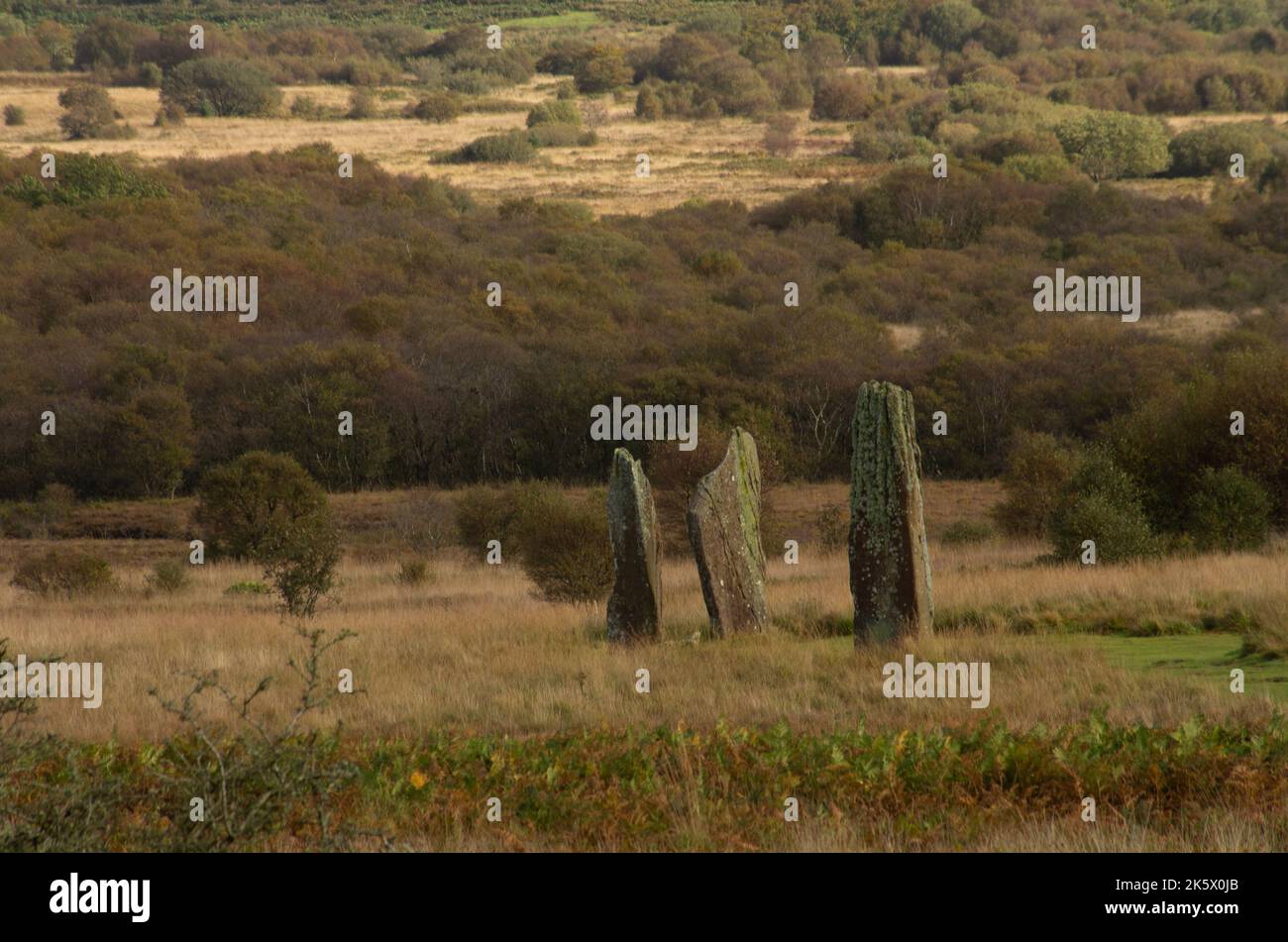 Standing Stones on Machrie Moor, Isle of Arran Stock Photo - Alamy