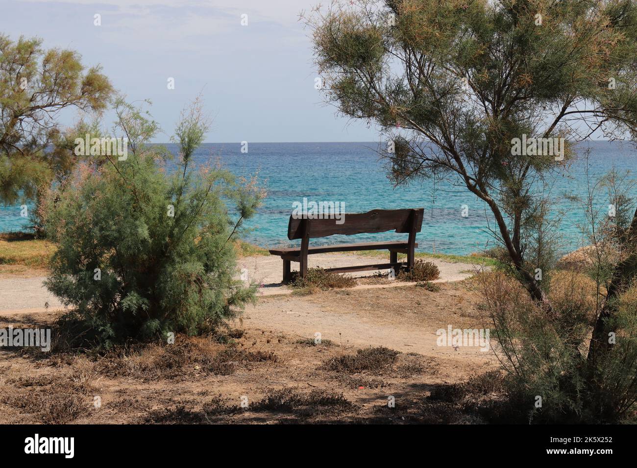 between green plants there is a small wooden bench on a beach promenade, which offers a beautiful view of the wide sea Stock Photo