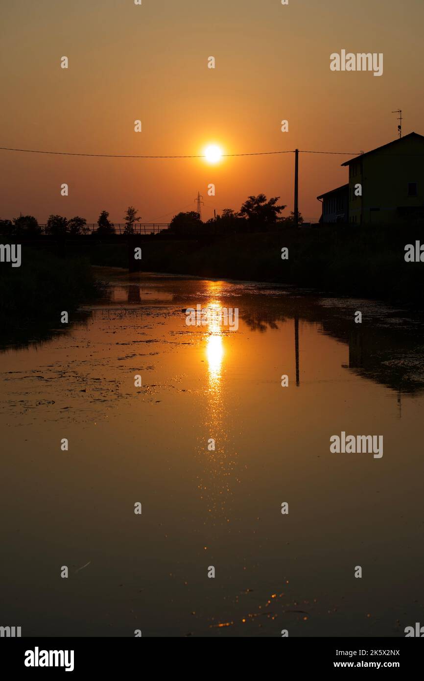 A vertical shot of silhouettes of trees and houses reflected on the ...