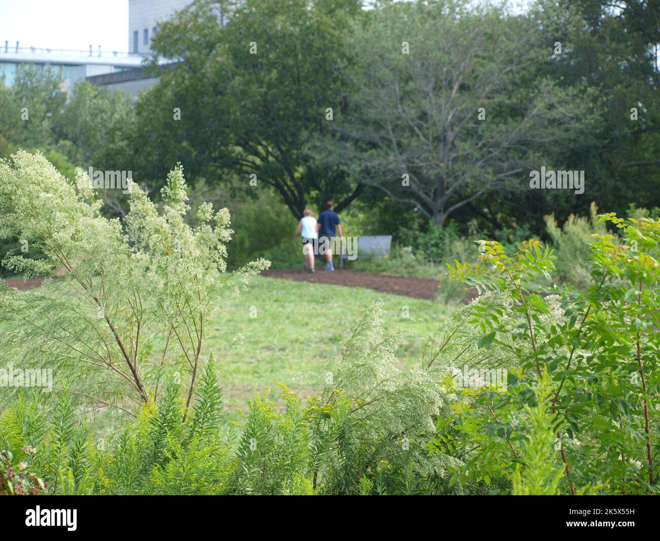 George W Bush Presidential Center & Park Nature Trails Stock Photo - Alamy