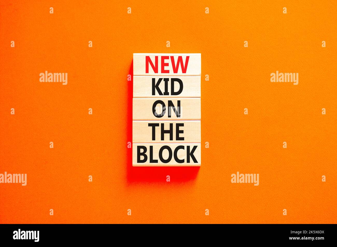 New kid on the block symbol. Concept words New kid on the block on wooden blocks. Beautiful