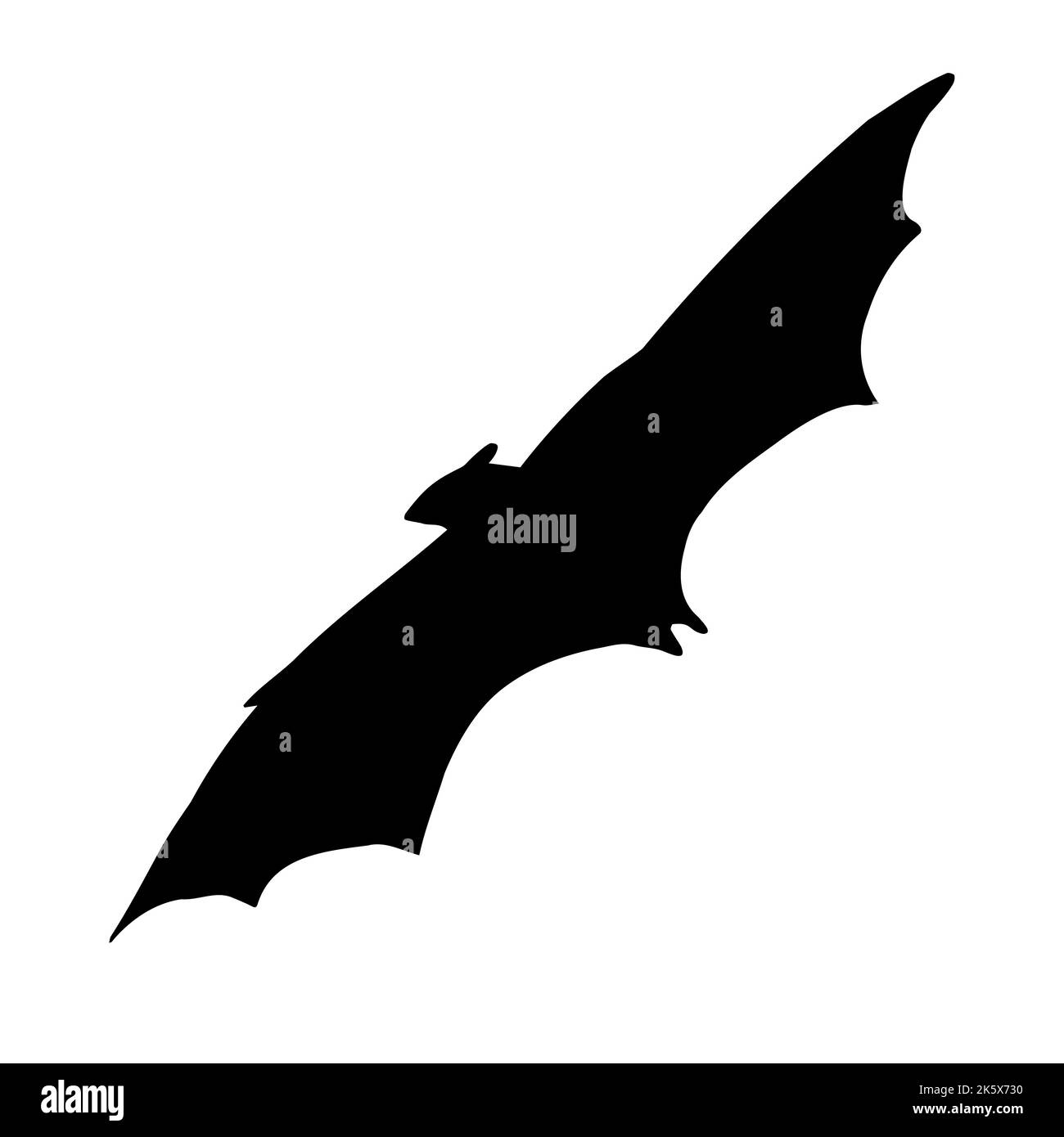 Vector hand drawn doodle sketch flying bat silhouette isolated on white ...