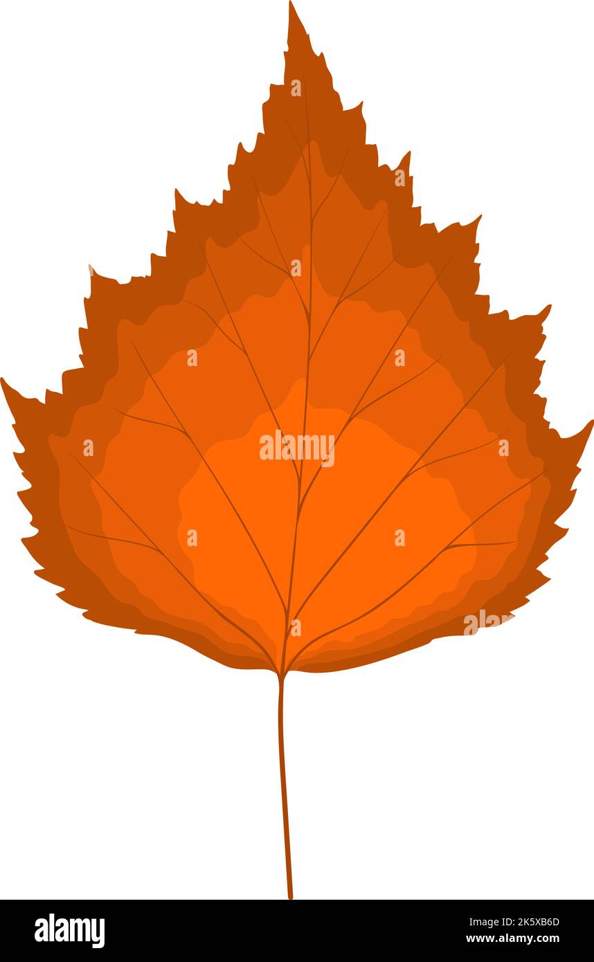 Autumn birch tree leaf. Leaf fall. Vector illustration. Stock Vector