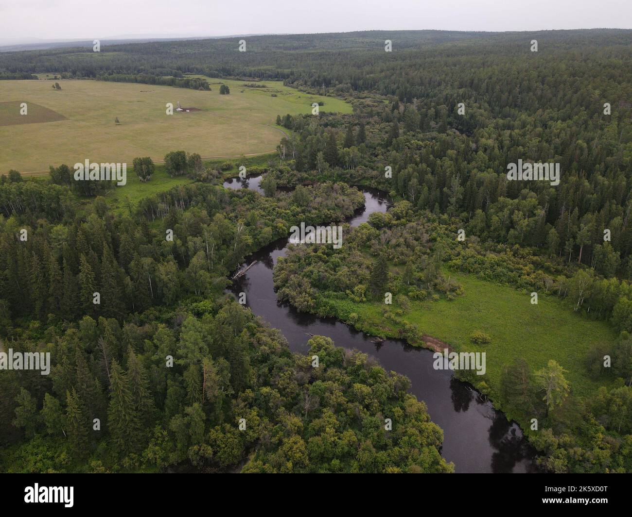 An aerial view of a green field with trees and river Stock Photo - Alamy