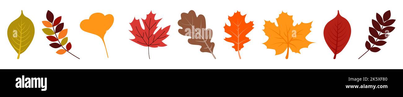 Autumn leaves set. Vector illustration isolated on white background Stock Vector