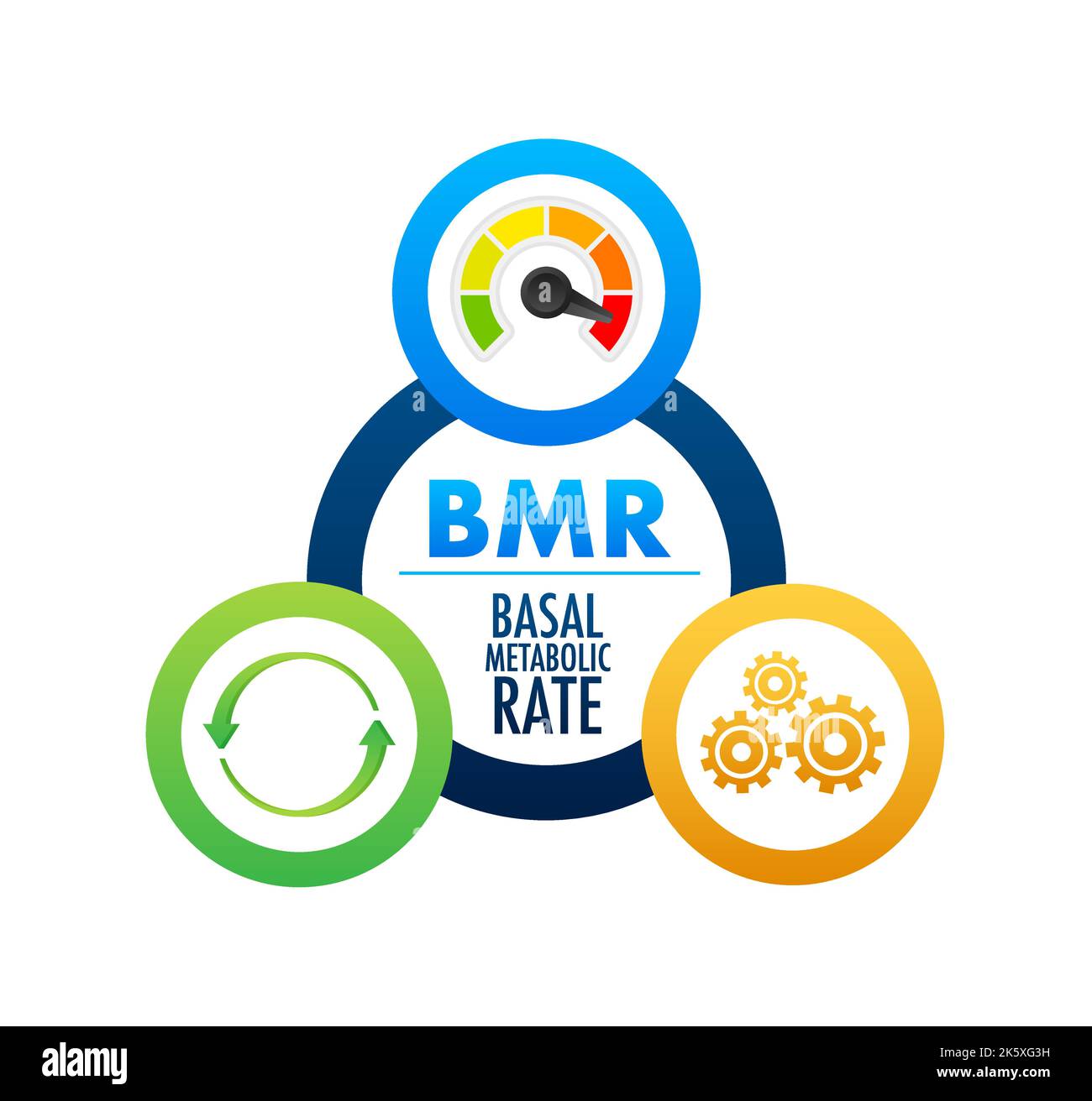 Basal metabolic rate bmr Cut Out Stock Images & Pictures - Alamy