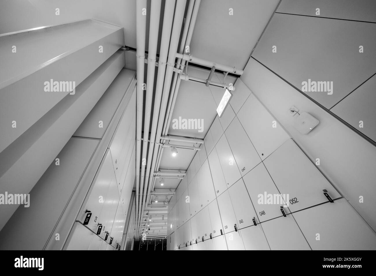 Modern interior of locker room Stock Photo Alamy