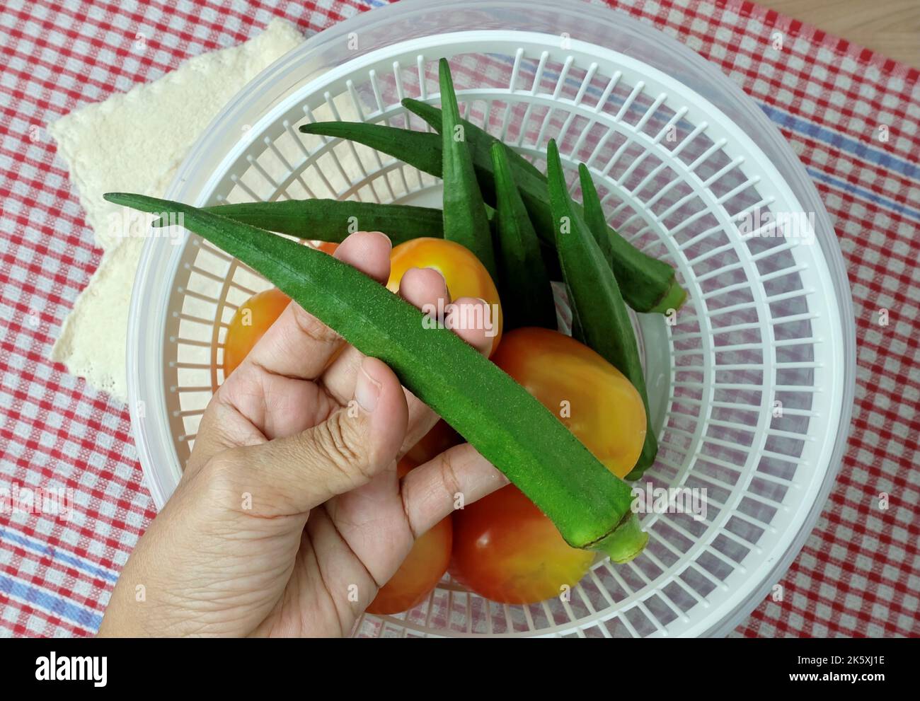Vegetable and Herb, Hand Holding Okra or Lady Finger Fruits Preparing for Cooking Stock Photo
