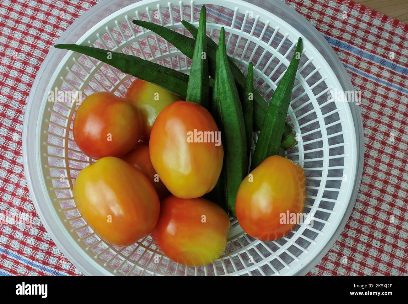 Vegetable and Herb, Okra or Lady Finger Fruits and Tomatoes Preparing