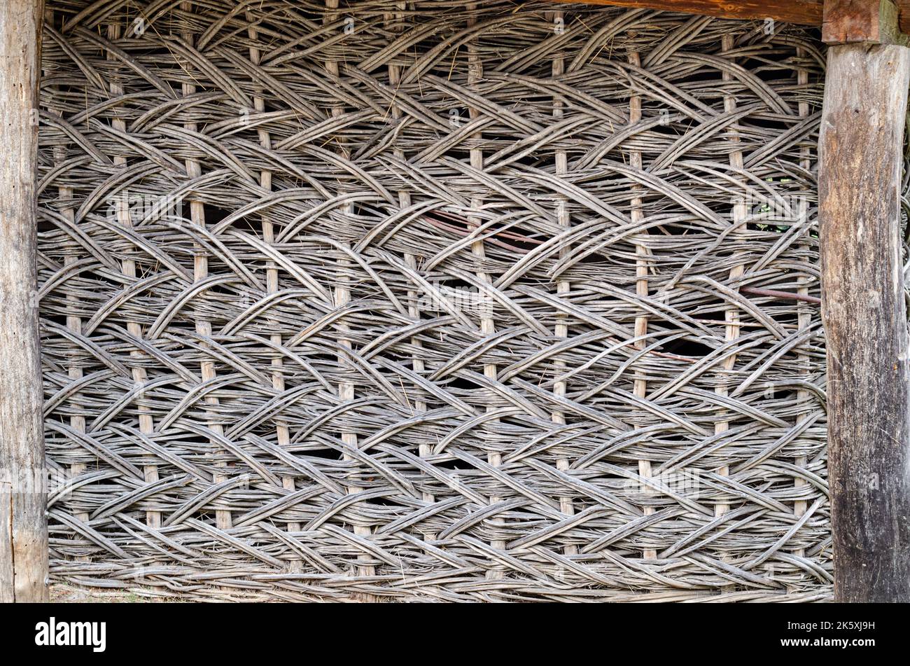 fence made of tree branches boards, Close up of tree trunk in forest