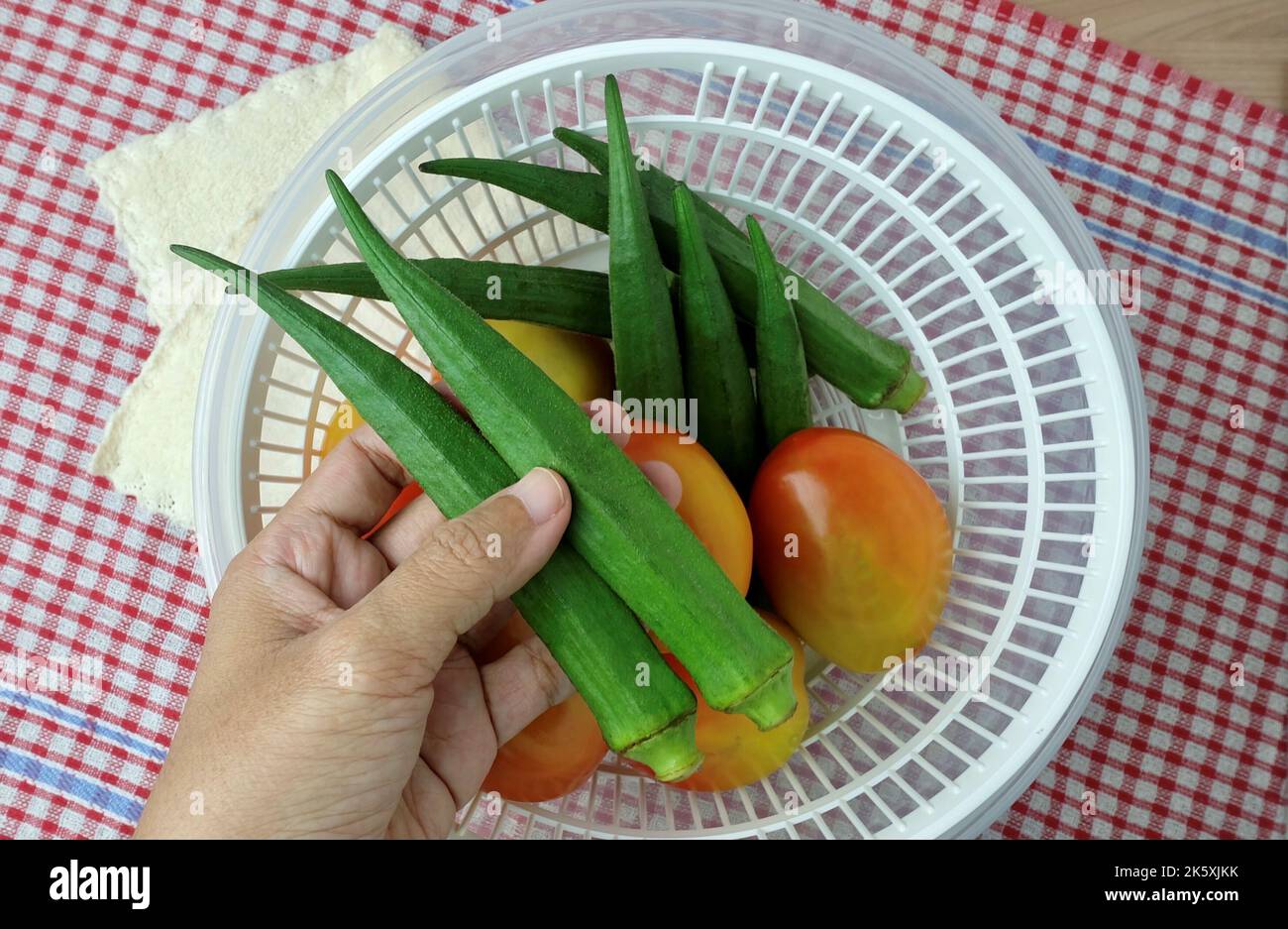 Vegetable and Herb, Hand Holding Okra or Lady Finger Fruits Preparing