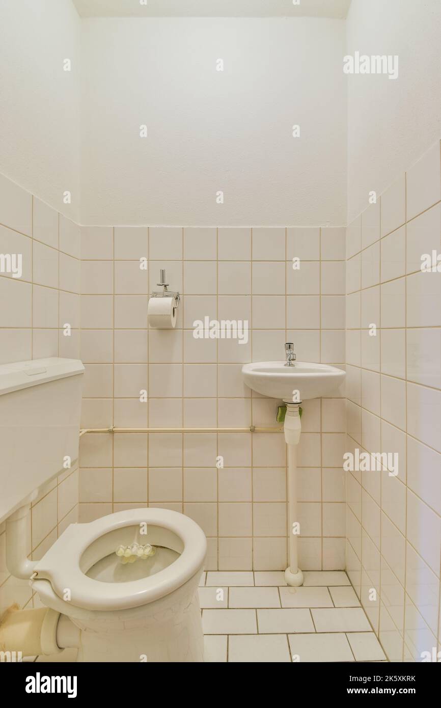 Interior of narrow restroom with sink and Flush toilet located with