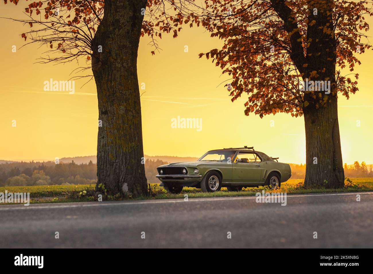 Old american muscle car in green color, photograph taken in low profile ...