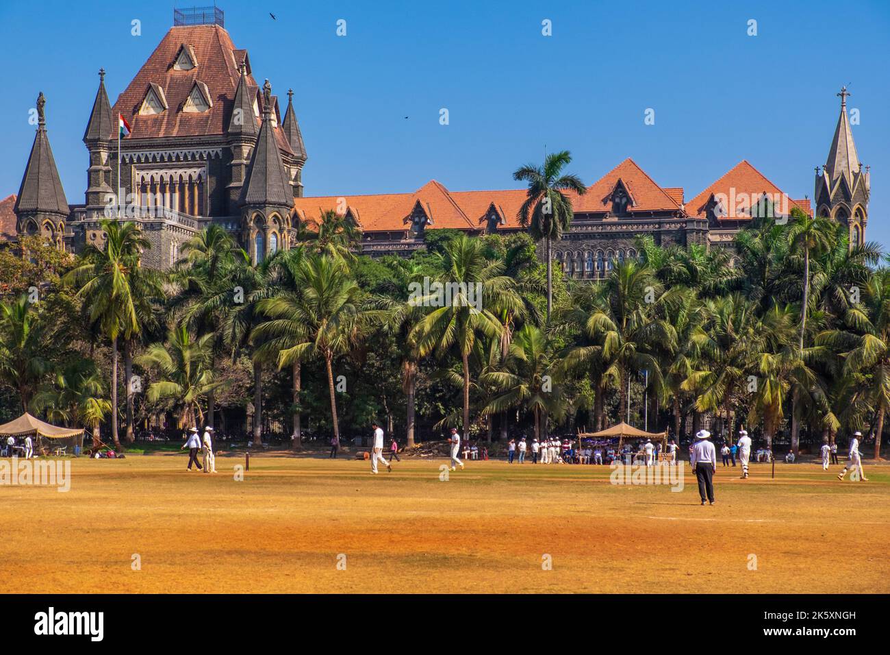 Cricket at the Oval Maidan in Mumbai / Bombay, India Stock Photo