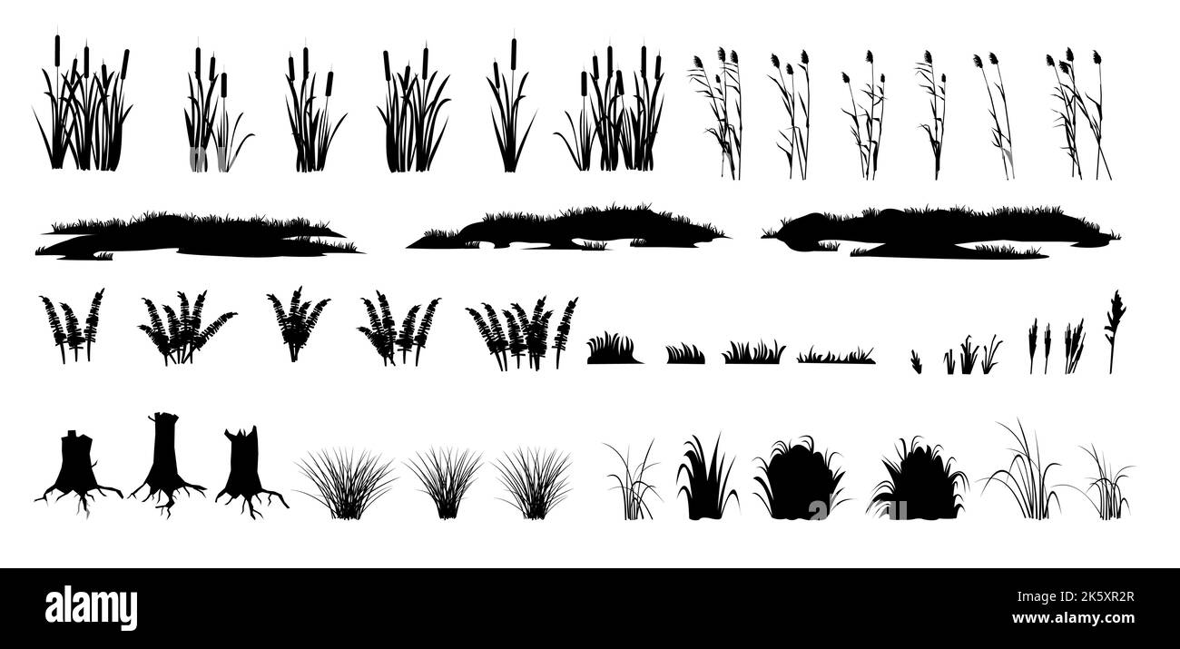 Set of shoots of reeds, reeds and coastal grass. Ferns and rotten stumps. Swamp landscape. View of the river bank. Silhouette picture. Isolated on Stock Vector