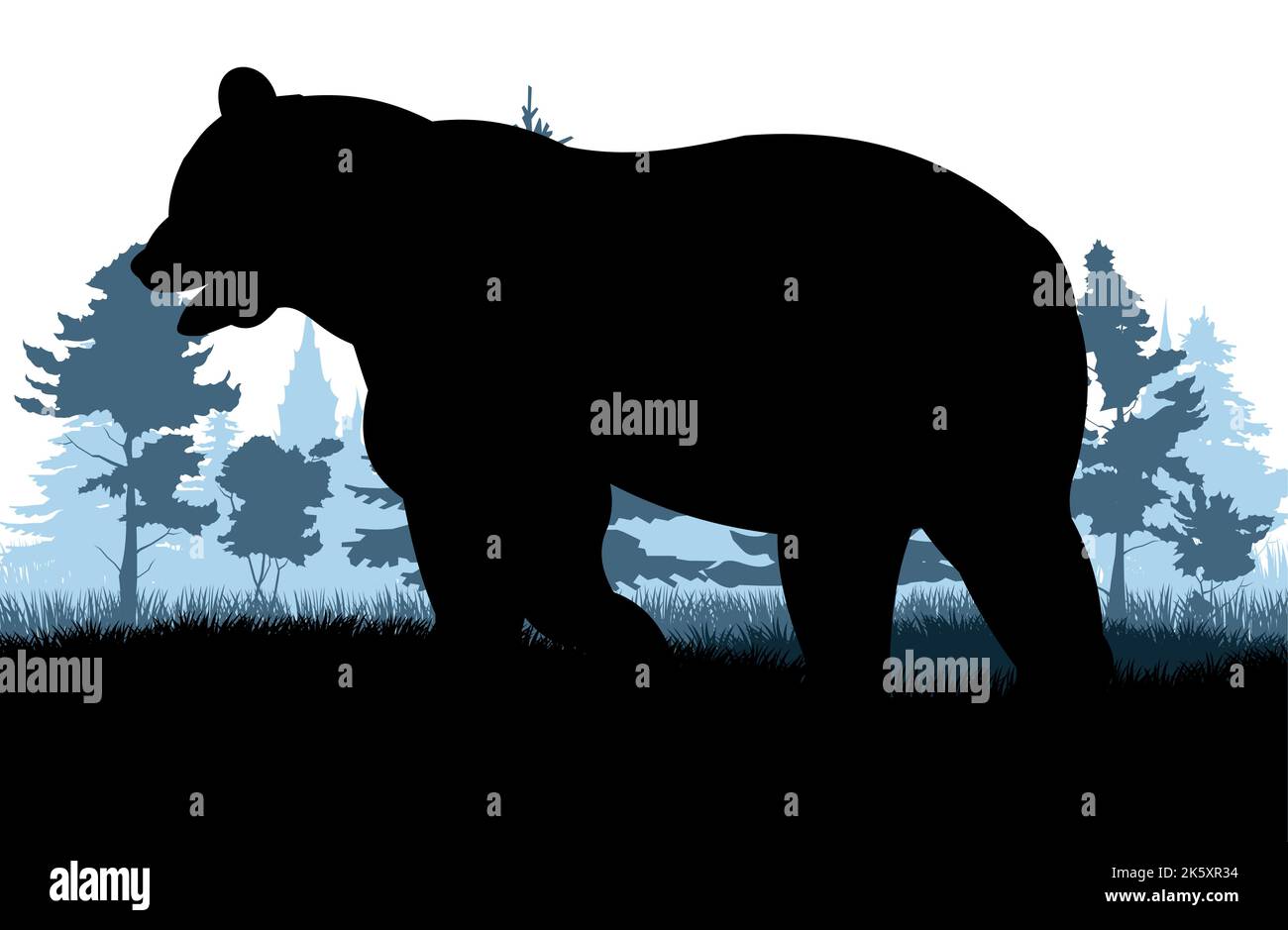 Adult bear. Wild animals. Glade in forest. Silhouette figures. Isolated on white background. Vector Stock Vector