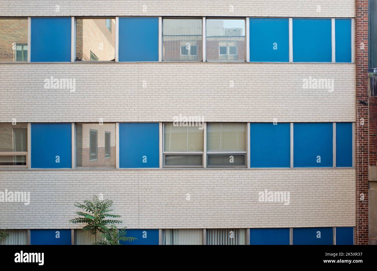 Exterior Wall Brickwork and Windows Stock Photo