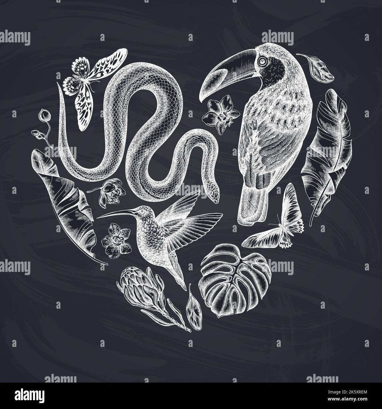 Tropical animals heart vintage design. Hand drawn snake, hummingbird, toucan, african giant swallowtail, monstera, banana palm leaves, protea Stock Vector